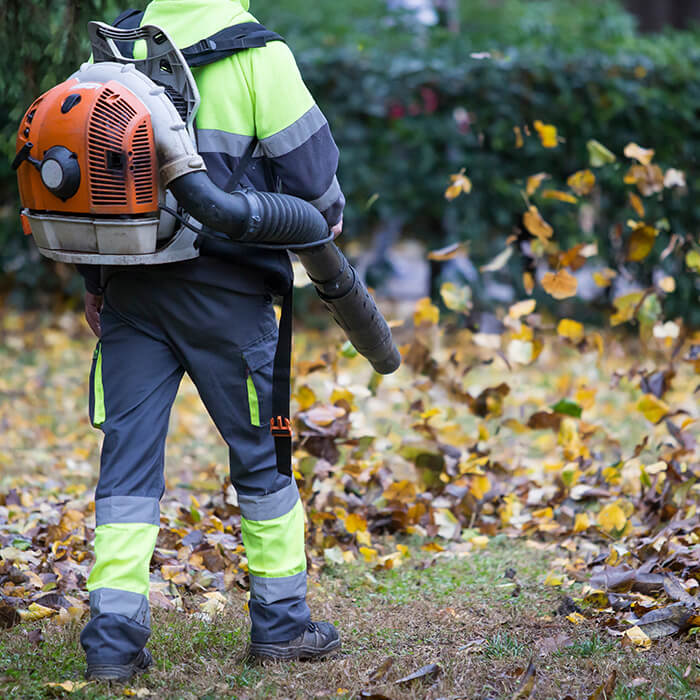 Garden-maintenance